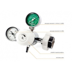 Reduktor tlenu z regulacją przepływu W8O2 RP